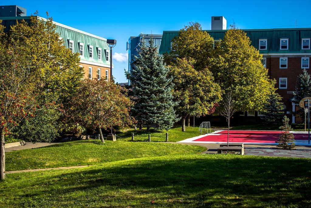 Memorial University St. John's Dış mekan fotoğraf